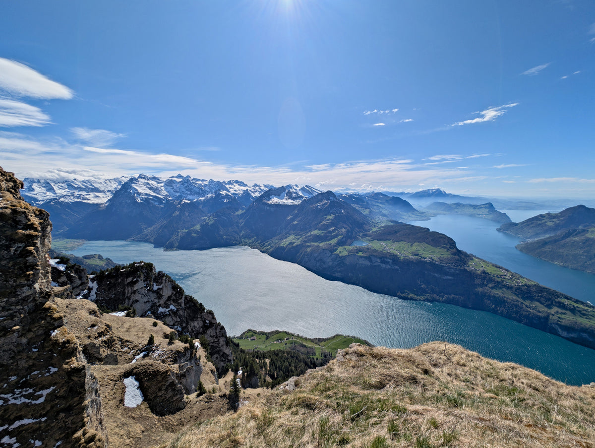 Blue Lucerne